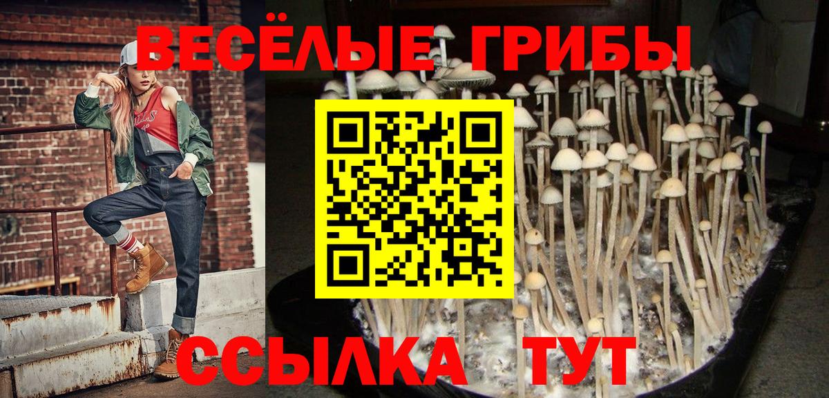 Псилоцибиновые грибы прущие грибы Избербаш