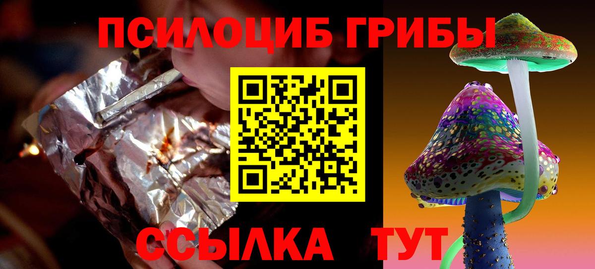 Избербаш  Псилоцибиновые грибы прущие грибы  как найти наркотики  Вход с VPN 